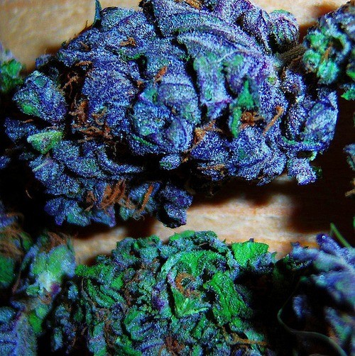 Blueberry Kush (Indica) oz